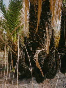 Jean-Baptiste Thiriet