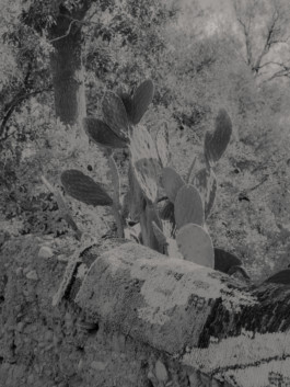 Jean-Baptiste Thiriet