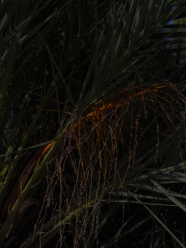 Jean-Baptiste Thiriet