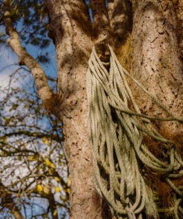 Jean-Baptiste Thiriet