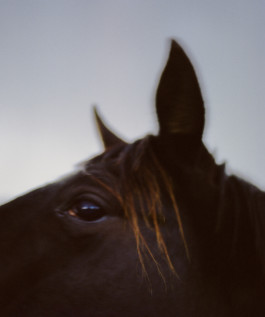 Jean-Baptiste Thiriet