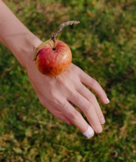 Jean-Baptiste Thiriet